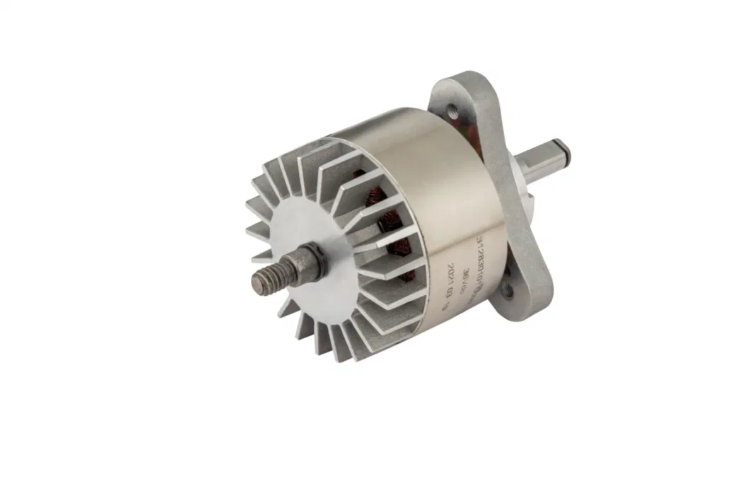 High Speed BLDC Motor for Chain Saw and Grass Trimmer